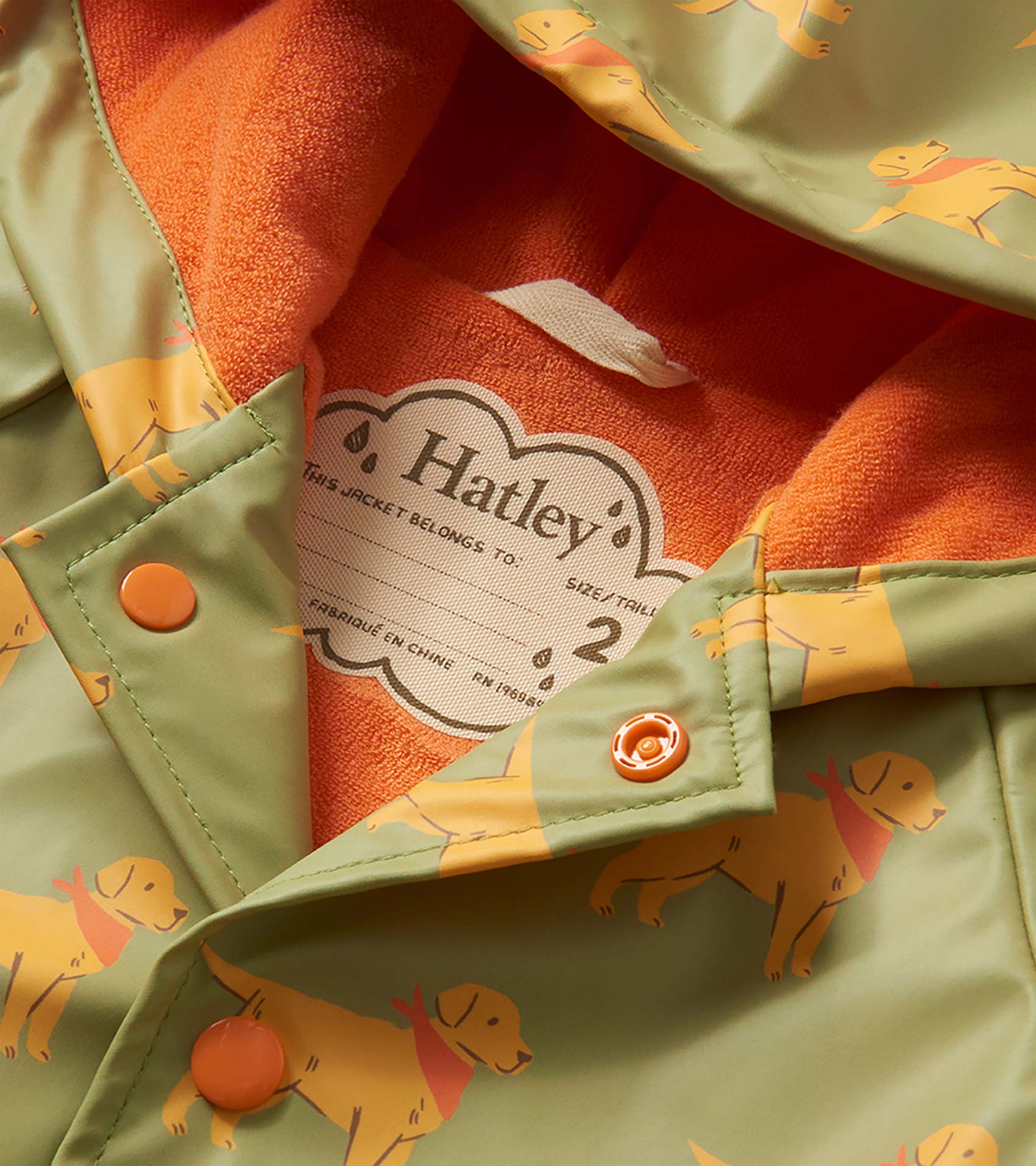 Baby & Toddler Boys Camping Puppy Button-Up Raincoat - Image 4