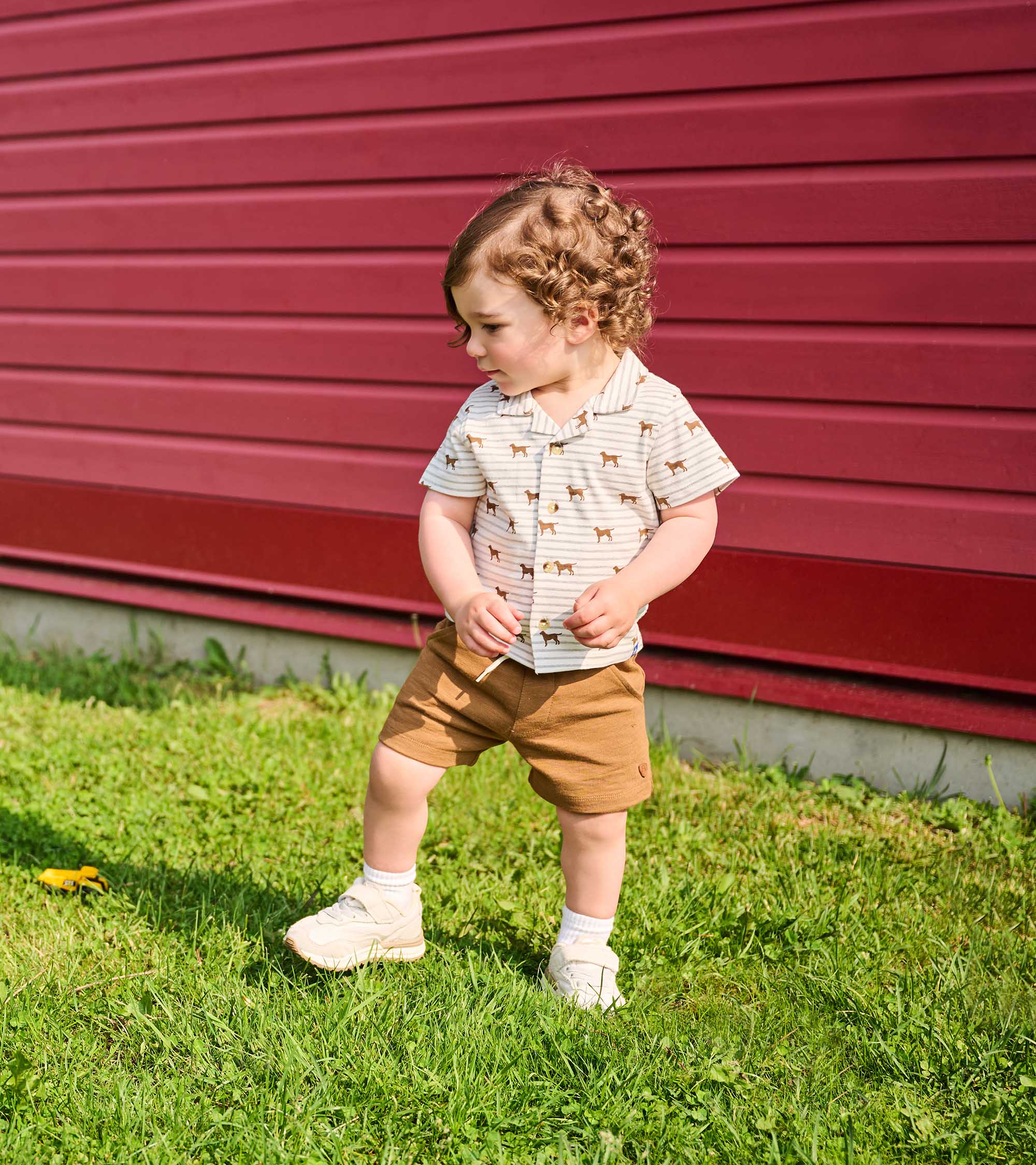 Baby & Toddler Boys Toasted Coconut Pull-On Shorts - Image 2