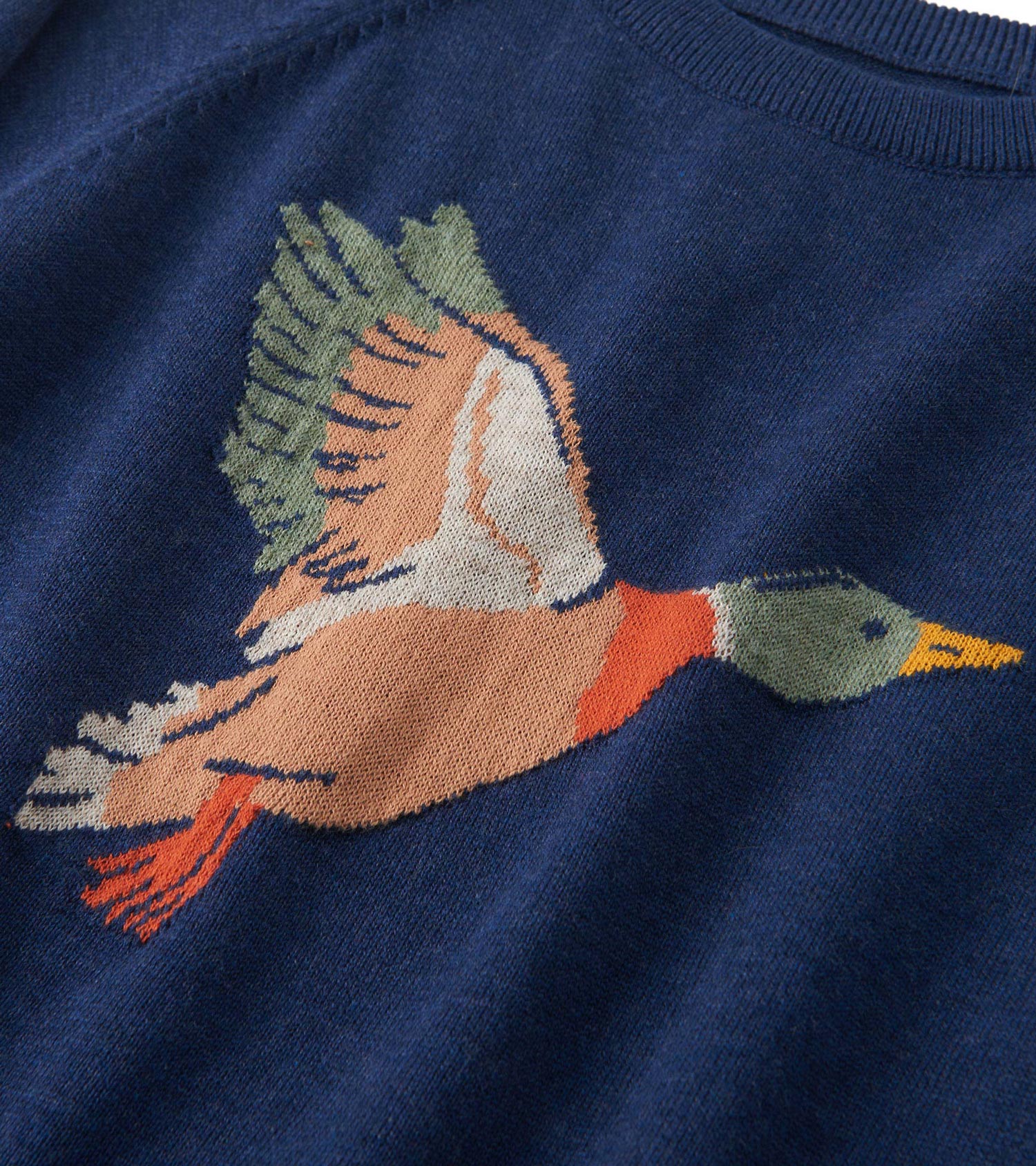 Boys Duck Crew Neck Sweater - Image 4