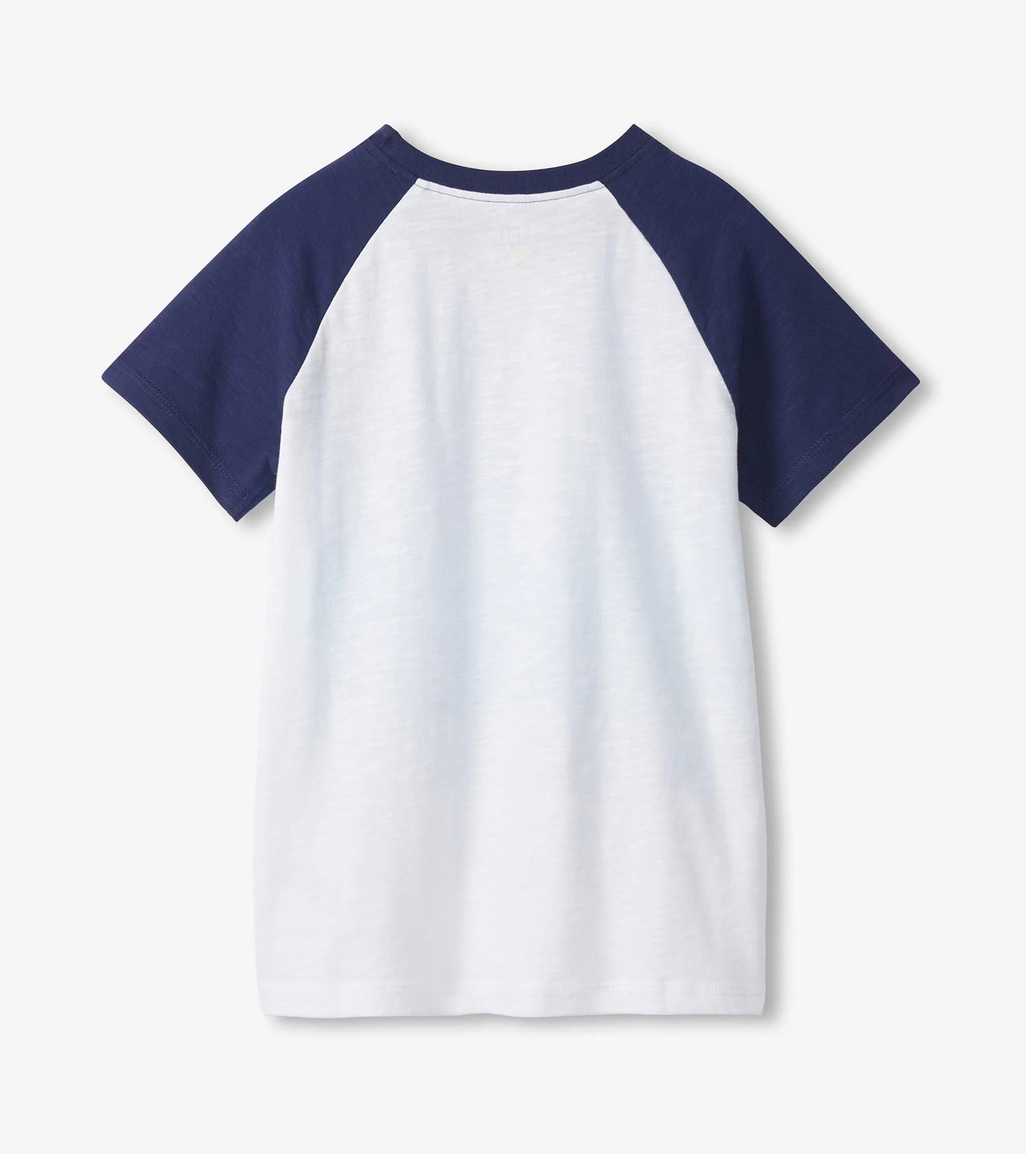 Boys Fin Stripes Raglan T-Shirt - Image 2
